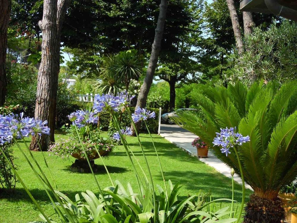 מרינה די פיאטרסנטה Hotel Mediterraneo מראה חיצוני תמונה