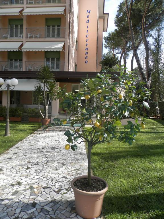 מרינה די פיאטרסנטה Hotel Mediterraneo מראה חיצוני תמונה