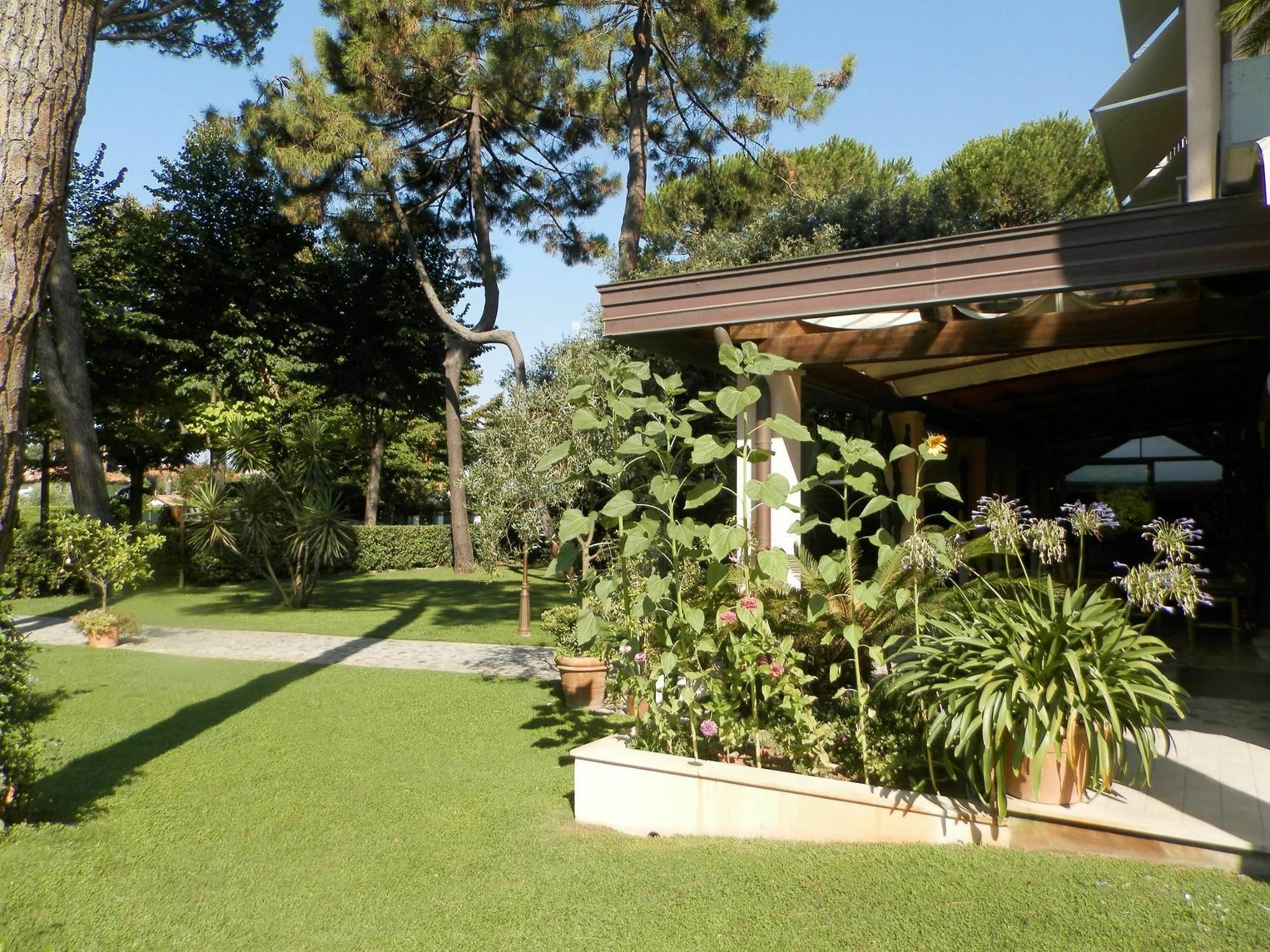 מרינה די פיאטרסנטה Hotel Mediterraneo מראה חיצוני תמונה